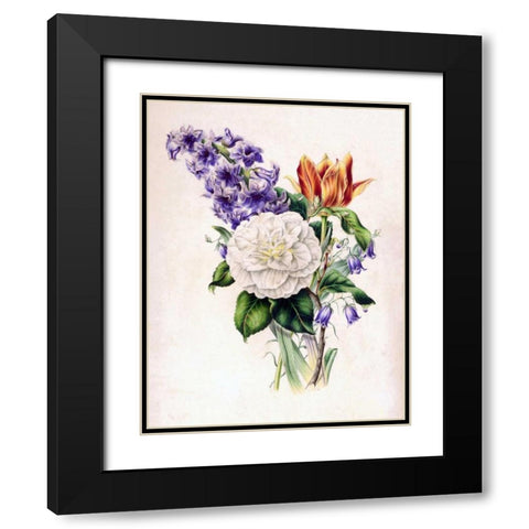 Hyacinth Black Modern Wood Framed Art Print with Double Matting by Andrews, James