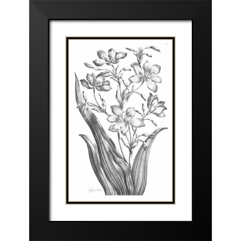 Tiger Ixia Black Modern Wood Framed Art Print with Double Matting by Hill, John