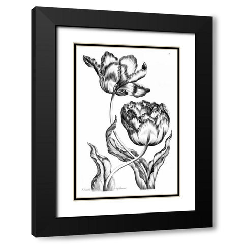 Double Oriflamme Black Modern Wood Framed Art Print with Double Matting by Hill, John