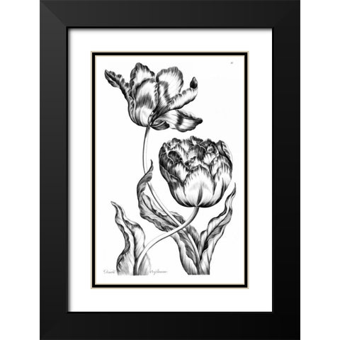Double Oriflamme Black Modern Wood Framed Art Print with Double Matting by Hill, John