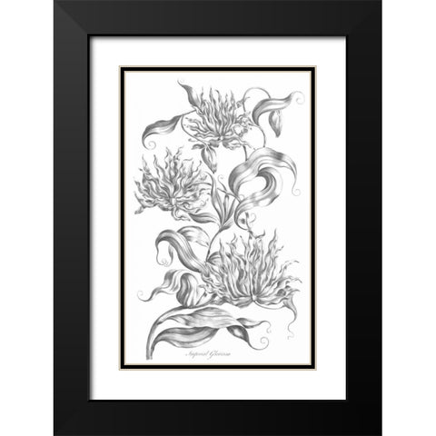 Imperial Gloriosa Black Modern Wood Framed Art Print with Double Matting by Hill, John