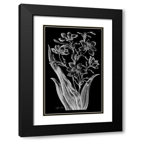 Tiger Ixia Black Modern Wood Framed Art Print with Double Matting by Hill, John