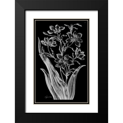 Tiger Ixia Black Modern Wood Framed Art Print with Double Matting by Hill, John