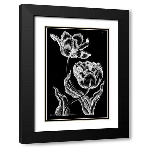 Double Oriflamme Black Modern Wood Framed Art Print with Double Matting by Hill, John