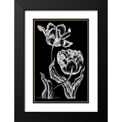 Double Oriflamme Black Modern Wood Framed Art Print with Double Matting by Hill, John