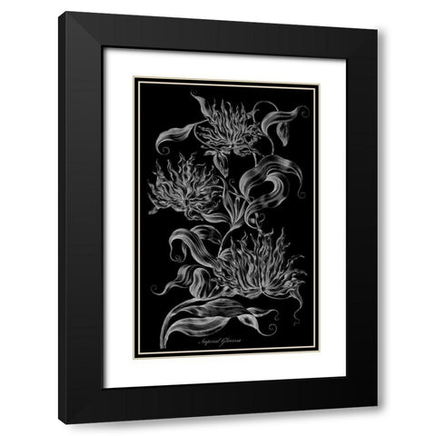 Imperial Gloriosa  Black Modern Wood Framed Art Print with Double Matting by Hill, John
