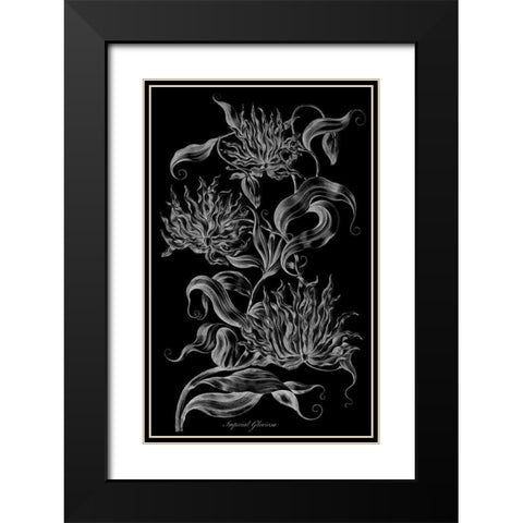 Imperial Gloriosa  Black Modern Wood Framed Art Print with Double Matting by Hill, John
