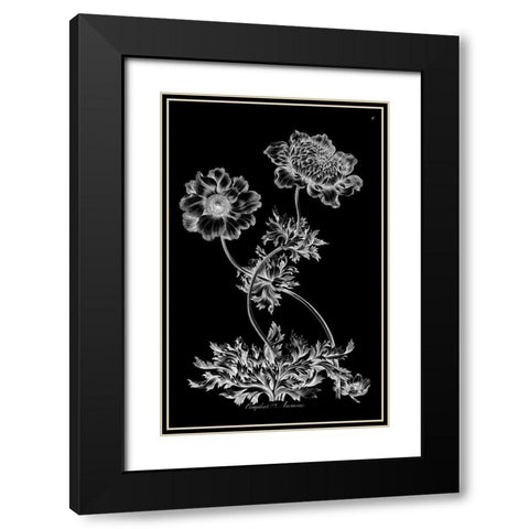 Complete Anemone Black Modern Wood Framed Art Print with Double Matting by Hill, John
