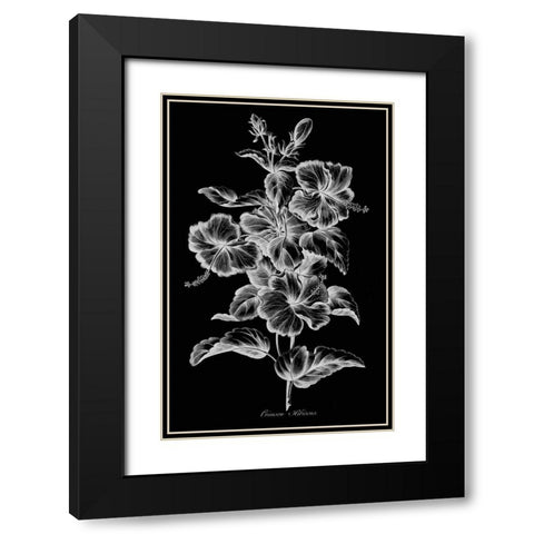 Crimson Hibiscus Black Modern Wood Framed Art Print with Double Matting by Hill, John