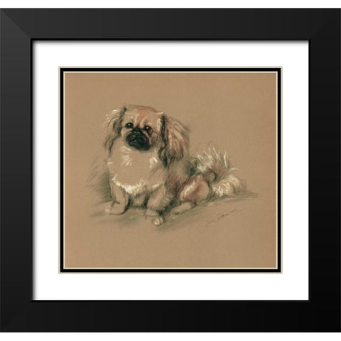 Pekinese, Koko Black Modern Wood Framed Art Print with Double Matting by Dawson, Lucy