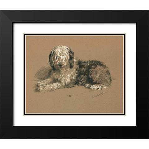 Sheepdog, Jill Black Modern Wood Framed Art Print with Double Matting by Dawson, Lucy