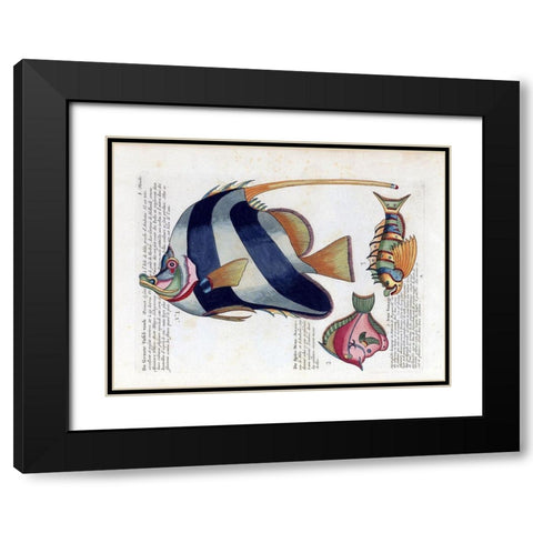 De Groote Tafel-Visch Black Modern Wood Framed Art Print with Double Matting by Renard, Louis