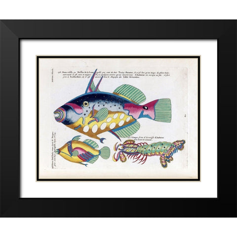 Poisson de la Lune Black Modern Wood Framed Art Print with Double Matting by Renard, Louis