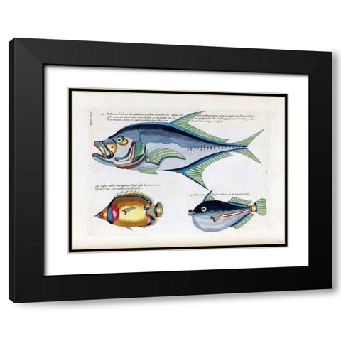 Babara Black Modern Wood Framed Art Print with Double Matting by Renard, Louis