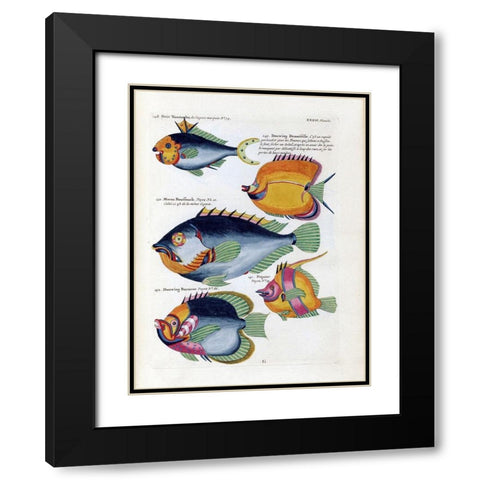 Petit Tompombo Black Modern Wood Framed Art Print with Double Matting by Renard, Louis