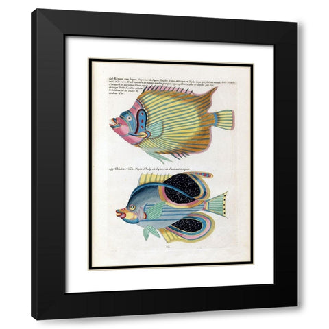 Keyser van Japan Black Modern Wood Framed Art Print with Double Matting by Renard, Louis