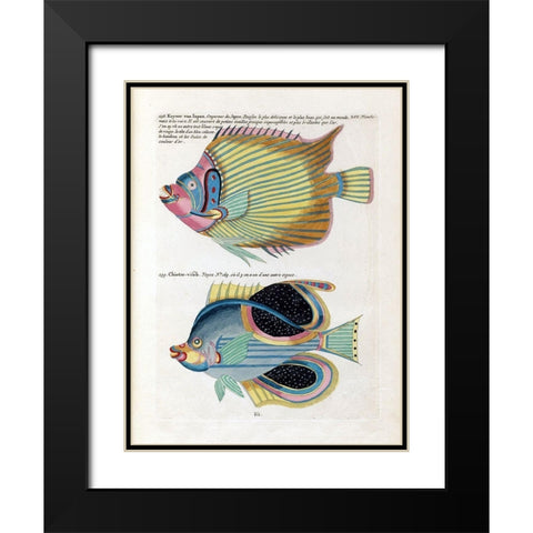 Keyser van Japan Black Modern Wood Framed Art Print with Double Matting by Renard, Louis