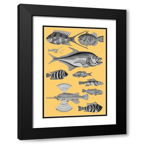 Tropical Fish Collage 2-Yellow Background Black Modern Wood Framed Art Print with Double Matting by Renard, Louis