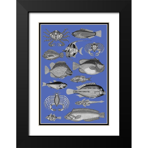 Tropical Fish Collage 3-Blue Background Black Modern Wood Framed Art Print with Double Matting by Renard, Louis