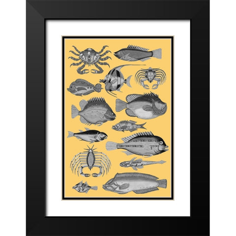 Tropical Fish Collage 3-Yellow Background Black Modern Wood Framed Art Print with Double Matting by Renard, Louis