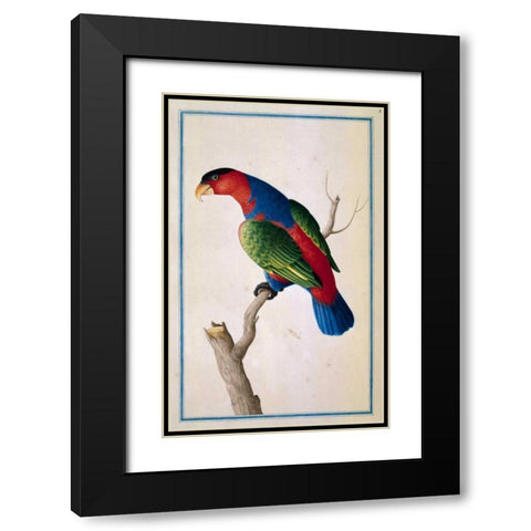 Lory, Left facing Black Modern Wood Framed Art Print with Double Matting by De Bevere, Pieter