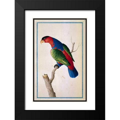 Lory, Left facing Black Modern Wood Framed Art Print with Double Matting by De Bevere, Pieter