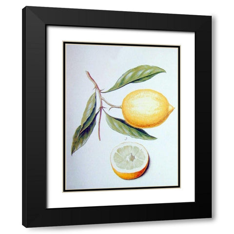 Citron Black Modern Wood Framed Art Print with Double Matting by Ledoulx, Pierre