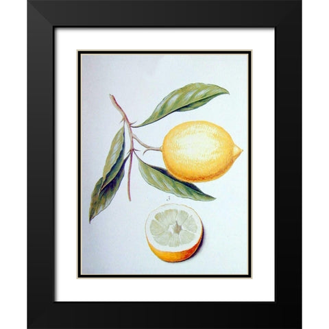 Citron Black Modern Wood Framed Art Print with Double Matting by Ledoulx, Pierre