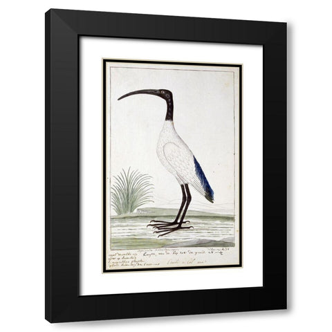 White Bird Black Modern Wood Framed Art Print with Double Matting by Gordon, Robert James