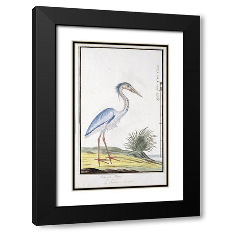 Heron Black Modern Wood Framed Art Print with Double Matting by Gordon, Robert James