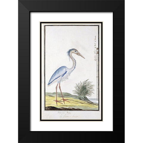 Heron Black Modern Wood Framed Art Print with Double Matting by Gordon, Robert James