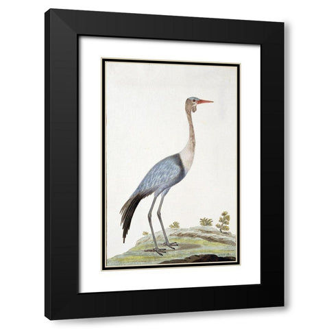 Crane Black Modern Wood Framed Art Print with Double Matting by Gordon, Robert James