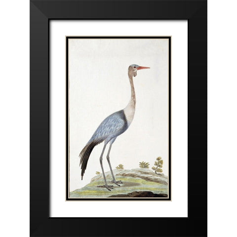 Crane Black Modern Wood Framed Art Print with Double Matting by Gordon, Robert James