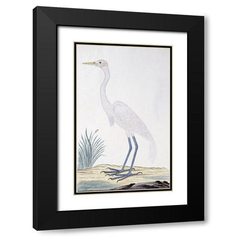 Egret Black Modern Wood Framed Art Print with Double Matting by Gordon, Robert James