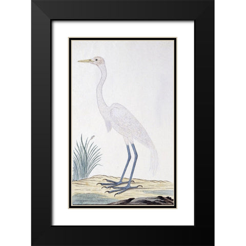Egret Black Modern Wood Framed Art Print with Double Matting by Gordon, Robert James