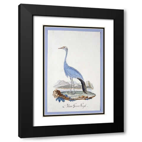 Blue Bird Black Modern Wood Framed Art Print with Double Matting by Gordon, Robert J.