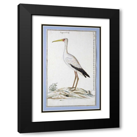 Stork Black Modern Wood Framed Art Print with Double Matting by Gordon, Robert J.