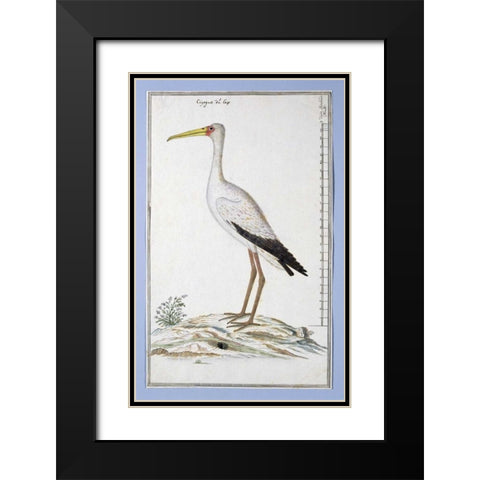 Stork Black Modern Wood Framed Art Print with Double Matting by Gordon, Robert J.