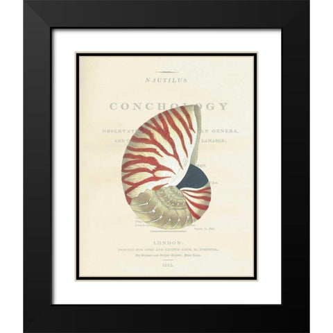 Shell, Nautiilus Black Modern Wood Framed Art Print with Double Matting by Brookes, Samuel