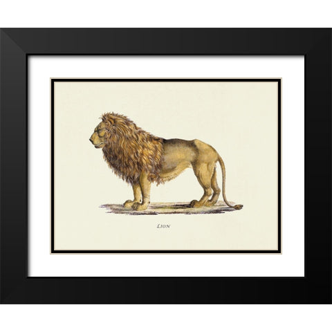 Lion Black Modern Wood Framed Art Print with Double Matting by Schinz, Heinrich Rudolf