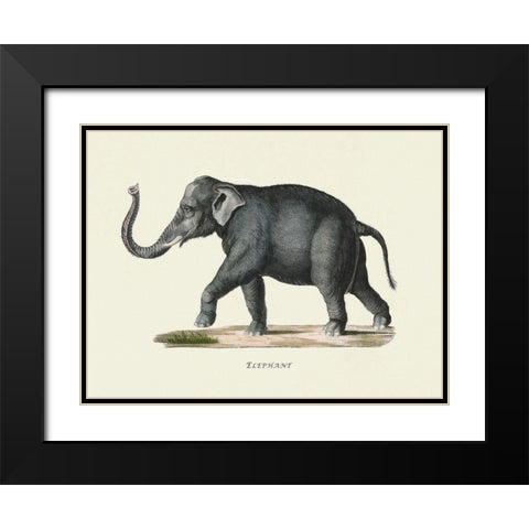 Elephant Black Modern Wood Framed Art Print with Double Matting by Schinz, Heinrich Rudolf