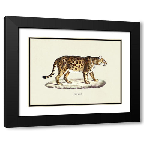 Jaguar Black Modern Wood Framed Art Print with Double Matting by Schinz, Heinrich Rudolf