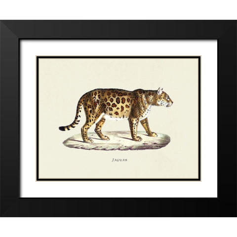 Jaguar Black Modern Wood Framed Art Print with Double Matting by Schinz, Heinrich Rudolf