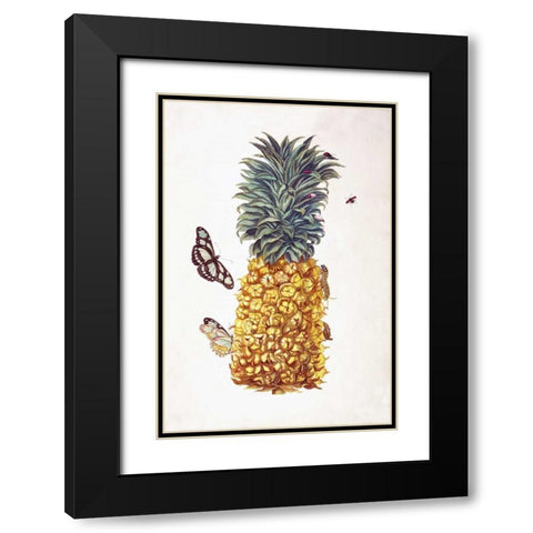 Pineapple, Butterflies, plate 11 Black Modern Wood Framed Art Print with Double Matting by Merian, Sybilla