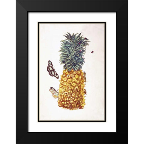 Pineapple, Butterflies, plate 11 Black Modern Wood Framed Art Print with Double Matting by Merian, Sybilla