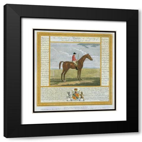 Portrait and Pedigree, Bajazet Black Modern Wood Framed Art Print with Double Matting by Spencer, Thomas