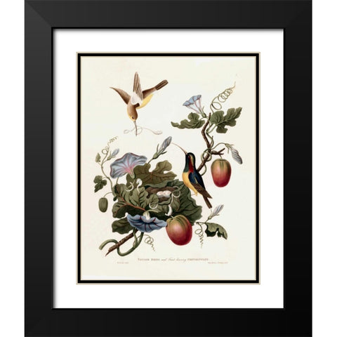 Taylor Birds Black Modern Wood Framed Art Print with Double Matting by Hooker, William