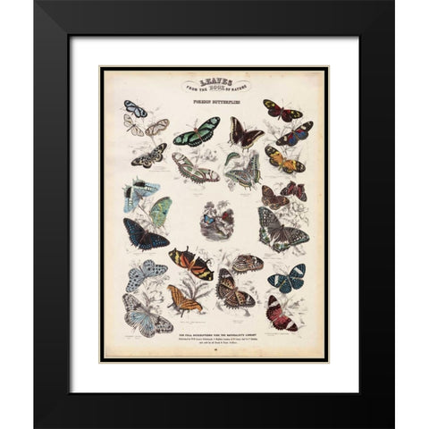 Foreign Butterflies Black Modern Wood Framed Art Print with Double Matting by Lizars, WH