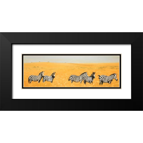 Herd of Zebra Black Modern Wood Framed Art Print with Double Matting by Atelier B Art Studio