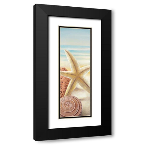 Starfish and Seashells at the Beach Black Modern Wood Framed Art Print with Double Matting by Atelier B Art Studio